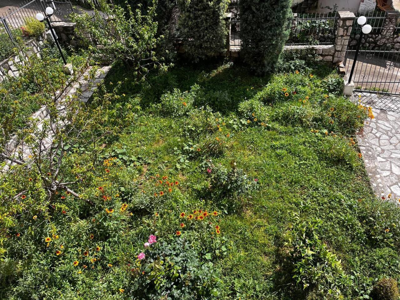 Apartments In Villa Viktoria Sutomore Bagian luar foto